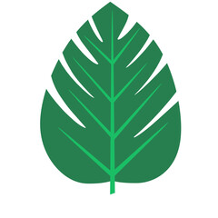 Vector element of tropical leaves, banana leaf, aesthetic leaves