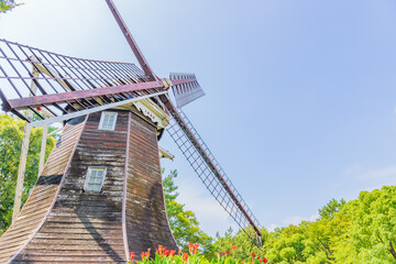 風のエネルギー