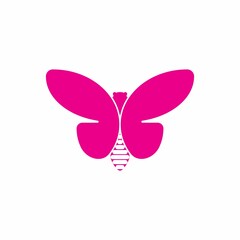 beauty butterfly icon vector logo