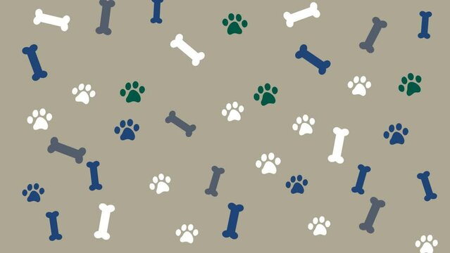 Food for cats and dogs in random movements on a beige and green background - animation