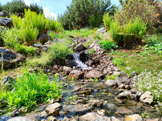 Peaceful brook. Mountain stream with a small waterfall
