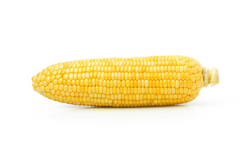 corn isolated