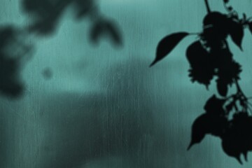 Shadow of leaves on concrete wall texture with roughness and irregularities. Abstract nature concept background.