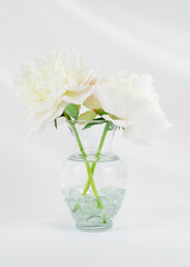 Two white peony flowers in a clear glass vase isolated on an elegant swooped white fabric backdrop with copy space. Floral wedding greeting card background. Floral arrangement. Vertical orientation.
