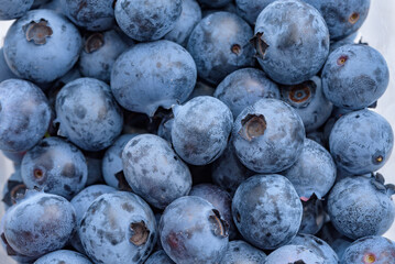 A lot of harvested blueberry fruits