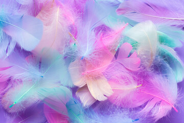 Background with decorative elements of multi-colored feathers, pink, blue, mint,purple colors