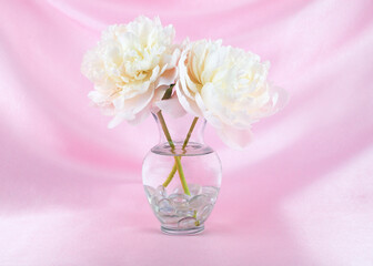 Two white peony flowers in a clear glass vase isolated on an elegant swooped pink fabric backdrop with copy space. Floral greeting card background. Floral arrangement