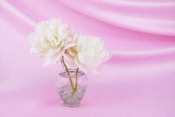 Two white peony flowers in a clear glass vase isolated on an elegant swooped pink fabric backdrop with copy space. Floral greeting card background. Floral arrangement