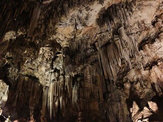 [Spain] Illuminated view in Caves of Nerja (Nerja)