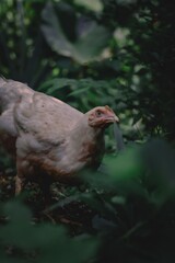 Winner winner chicken dinner!!