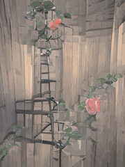 Climbing roses on a climbing frame