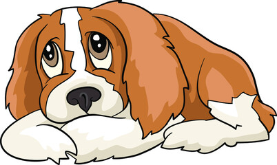 Cavalier King Charles spaniel lying scared sad drawing vector illustration dog - obrazy, fototapety, plakaty