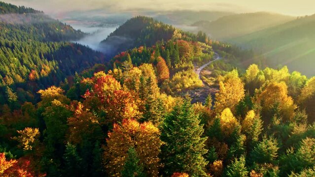 Gorgeous colorful autumn in the mountains. Aerial shot of red and yellow autumn trees, foggy mountains and warm morning sun. UHD, 4K.
