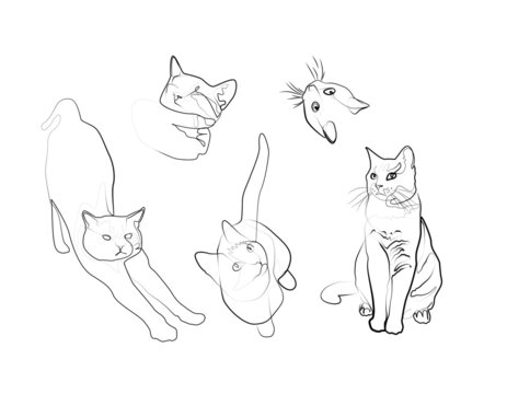 The cat collection in abstract hand drawn style, minimalist one line drawing