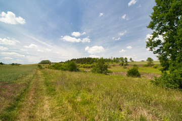 Fototapeta na wymiar A dusty path around field in spring day under blue sky with clouds.