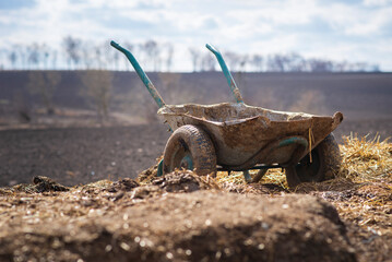 Wheelbarrow with manure in a field