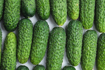 Fresh green cucombers as a background