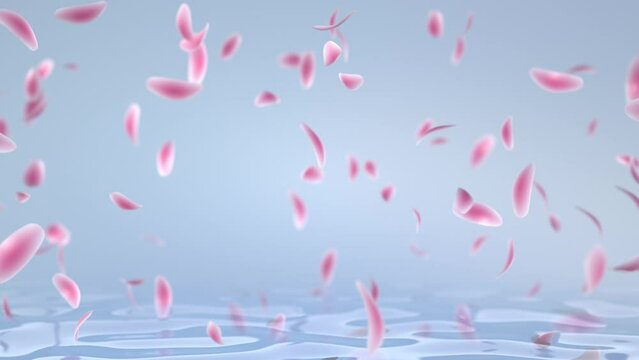 beautiful pink rose petals falling on water 3d rendered

