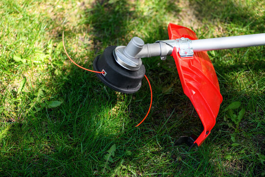 Reel of gas trimmer with fishing line, lawn mower on grass background. Trimmer head
