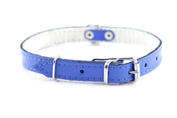 Leather dog collar on a white background