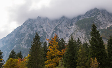 Autumn in the Julian Alps below Triglav mountain