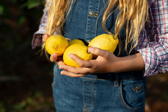 Cheerful little farmer with lemons