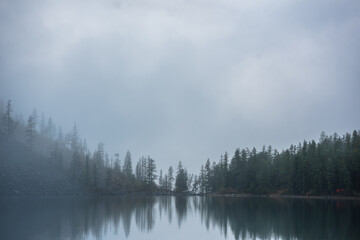 Tranquil meditative misty scenery of glacial lake with pointy fir tops reflection at early morning....