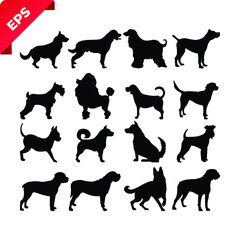 Typography for T-shirt design, Mug design, printing item, sticker, football, banner, vector design