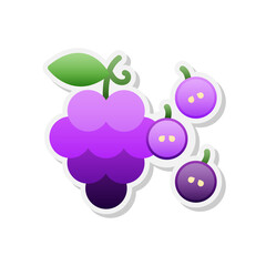 Grape sticker icon, Vector, Illustration.