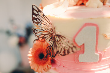 butterfly on a flower