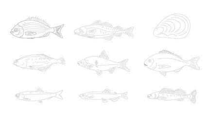 vector set of sea animals
