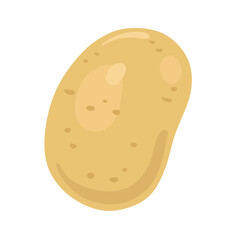 Potato tuber. In cartoon style. Isolated on white background. Vector flat illustration.