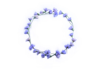 blue flowers wreath isolated on white 