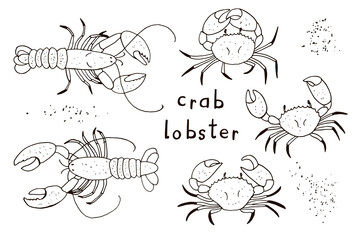 Crab and lobster sea animals vector line illustrations set