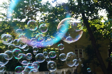 soap bubbles in the park