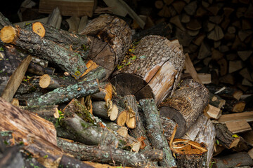 Firewood for heating energy crisis preparation for winter
