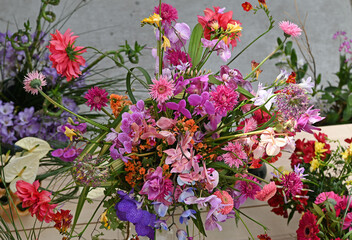 Variety of peppers showed in windows