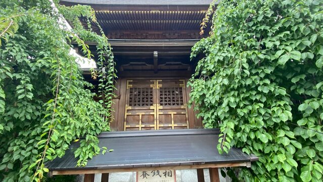 The back design of the main pagoda at Japanese honorable shrine “Yushima Tenjin” established way back in year 458.  The architectural details under the rain, rainy season year 2022 June 15th