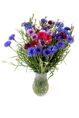 Naklejka na ściany i meble Сornflowers in blue, purple, pink, burgundy, and white blooms. Summer flower background.