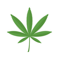 Marijuana or madical cannabis leaf icon on white background. Herbal medicine herb plant. Vector illustration.
