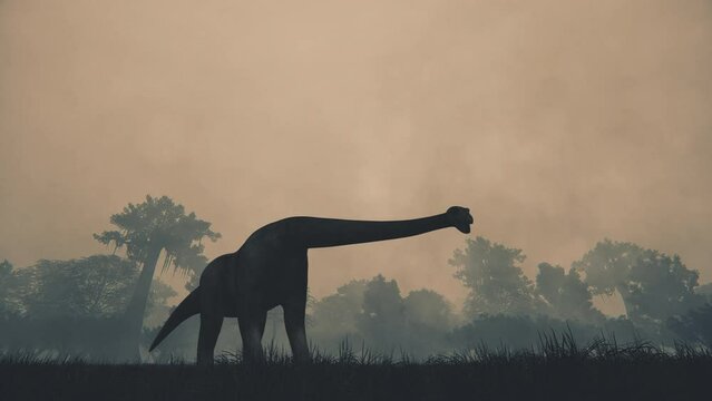 Dinosaur animation.Full HD 1920&times;1080.8 Second Long.