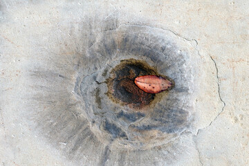 abstract form and texture on grunge rock