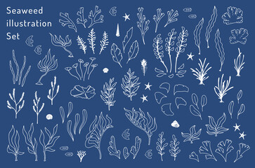 海草と海の生き物のイラストセット © slantwise