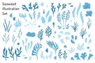 海草と海の生き物のイラストセット