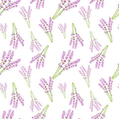 Handdrawn lavender flowers seamless pattern. Watercolor purple lavender on the white background. Scrapbook design, typography poster, label, banner, textile.