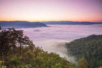 Landscape in the morning at Phong -Fan mountain, Loei province  Thailand.