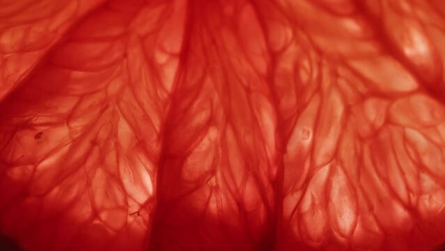 Juicy grapefruit slice macro. Citrus fruit close-up texture, healthy sweet food. Summer refreshment concept.