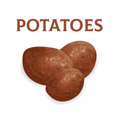 Raw potatoes vector illustration. Realistic illustration potato vector mockup for web design isolated on white background. Whole potatos. Vegetable. EPS 10