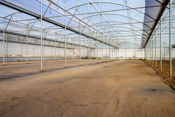 Obraz premium preparing greenhouse for agricultural production2