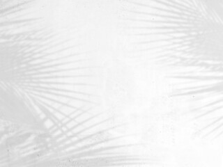 shadow of palm leaves on white cement wall background